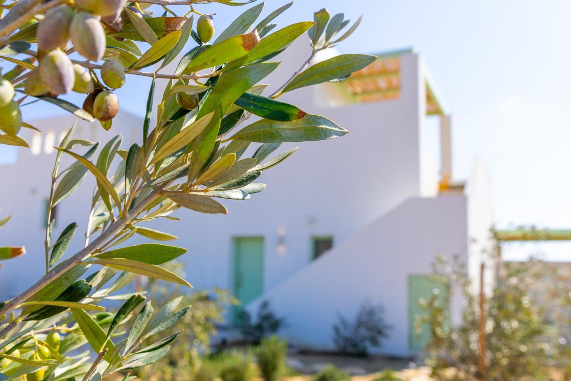 Plioni Villas & Suites Микри-Вигла Экстерьер фото