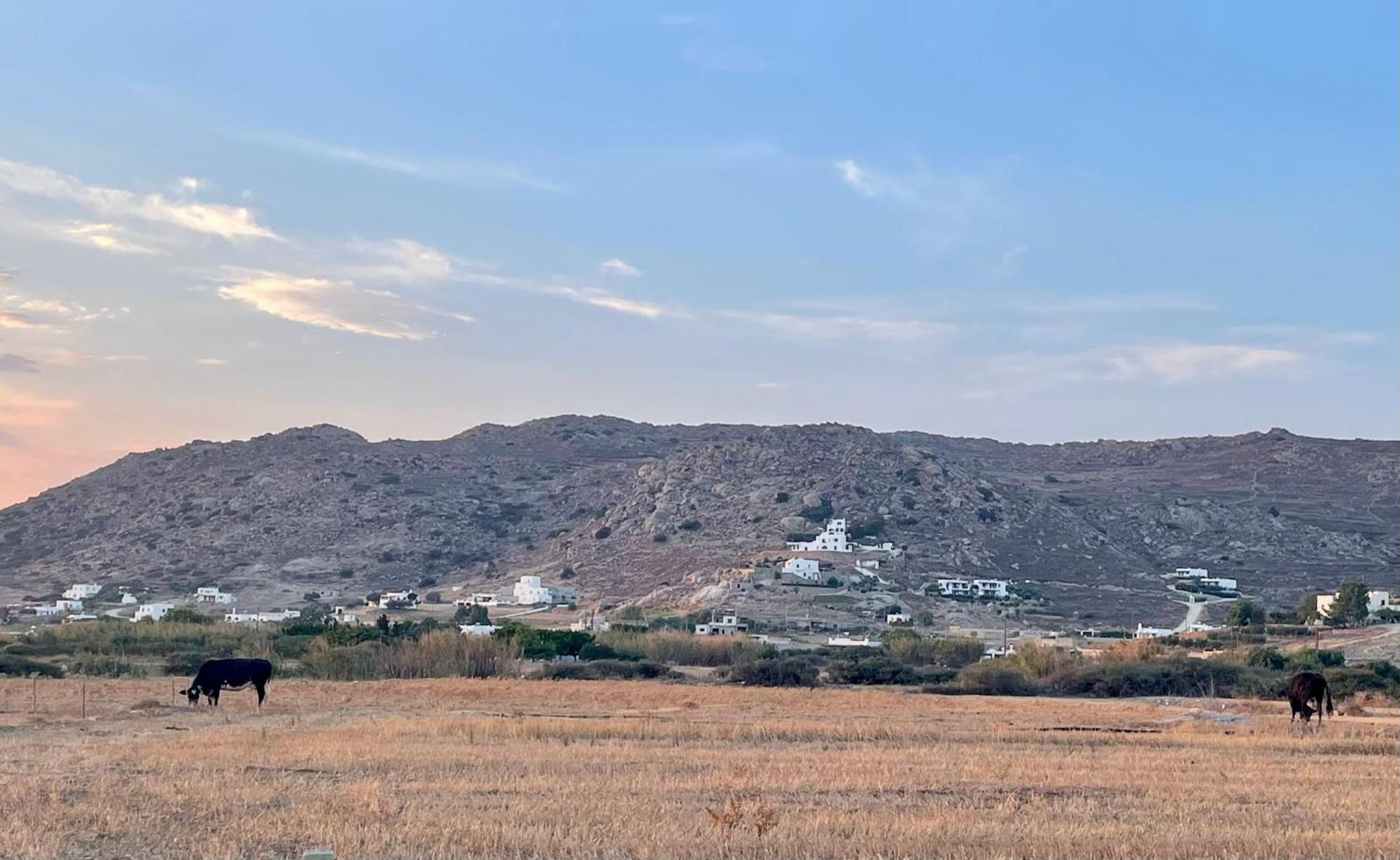 Plioni Villas & Suites Микри-Вигла Номер фото